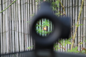 Image 3 for Vector Optics Maverick 1x22 Gen2 Red Dot