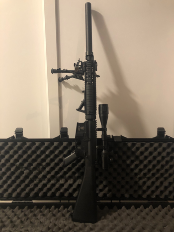 Image 3 pour SR-25 DMR AEG