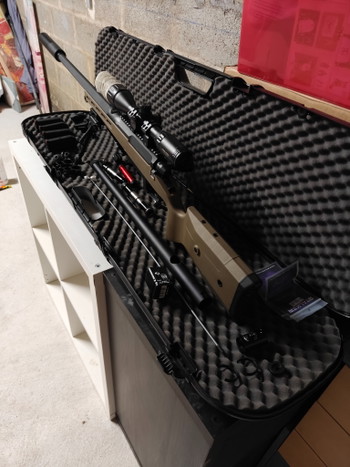 Image 3 for Tac41 silverback