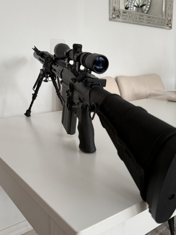 Bild 3 für Pack - Fusil DMR Legion Rapax XXI M3 AEG Secutor Noir