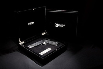 Image 3 pour GEZOCHT RWA Nighthawk GRP steel replica