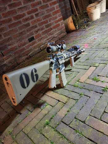 Afbeelding 3 van Custom DMR (Covid-19 Project)