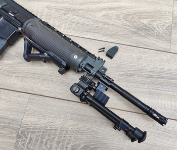 Image 4 pour G&G LR300 - DMR style build