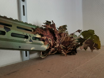 Image 3 for SSX303 - Custom Painted