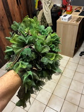 Bild für GHILLIE CUSTOM