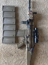 Image for TM SCAR H NGRS