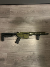 Bild für Mtw fossil dig 1 nummer 38