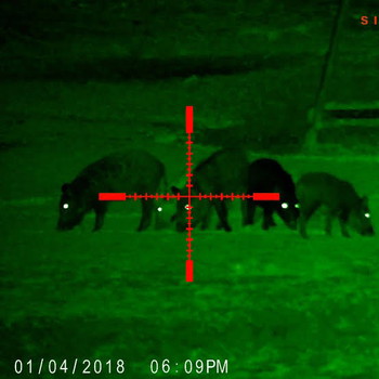 Imagen 2 de Sightmark Wraith hd 4-32x50 day and night vision rifle scope + laser (MAWL C1+ inc. IR laser)