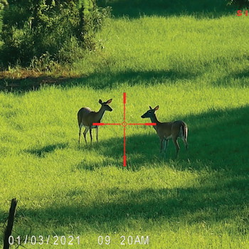 Imagen 3 de Sightmark Wraith hd 4-32x50 day and night vision rifle scope + laser (MAWL C1+ inc. IR laser)
