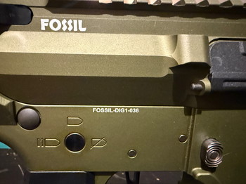 Image 3 pour MTW Fossil Dig1