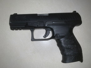 Imagen para Whalter ppq