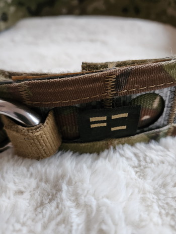 Imagen 3 de Ferro bison belt