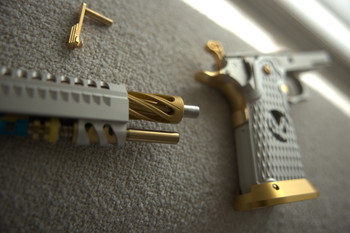 Afbeelding 2 van Hicapa Custom 4.3 Silver + Gold