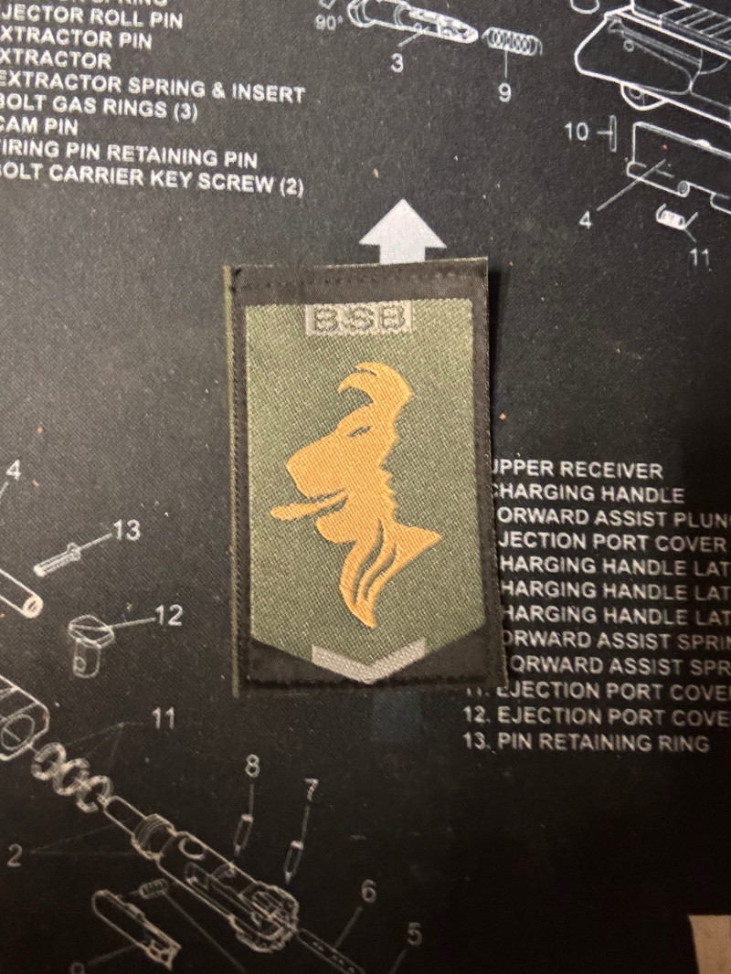 Bild 1 für Orginele bsb patch