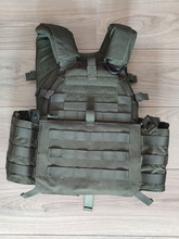 Image for Plate Carrier Green