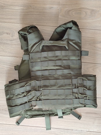 Image 2 for Plate Carrier Green