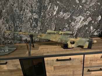 Image 3 for Well L96 Full AA internals