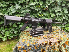 Image for Div replica's