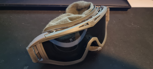 Image for Revision Desert locust goggles