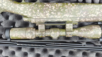 Image 3 pour Ssg10