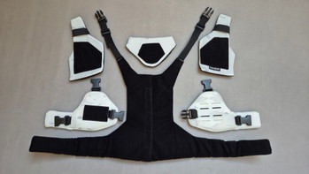Image 3 for Chest Protector - MCAP