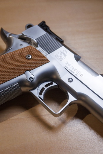 Image 3 for MGC high capa Springfiled Custom