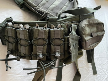 Imagen 2 de Begadi x tac belt harness in olive drab