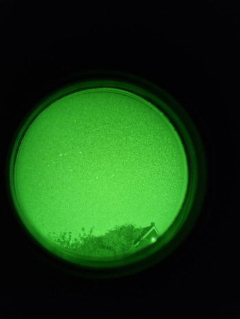 Imagen 4 de DM-2021 gen 2+ night vision