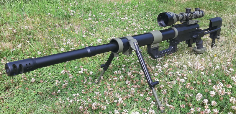 Image 1 pour Cheytac M200 intervention