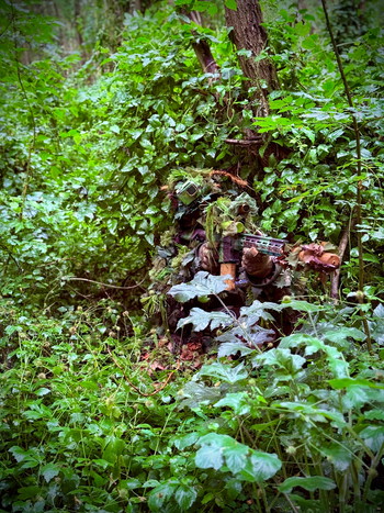 Afbeelding 2 van MTW 308