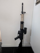 Image for C7NLD project / M16
