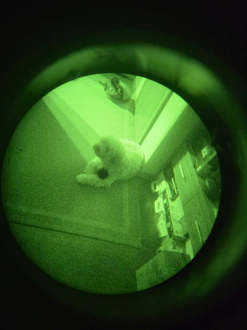 Bild 4 für Archer NVMA14 with Gen 3 M890 intensifier