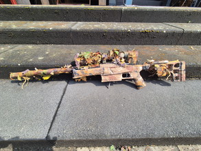 Image for Wolverine BOLT ssg10 A3