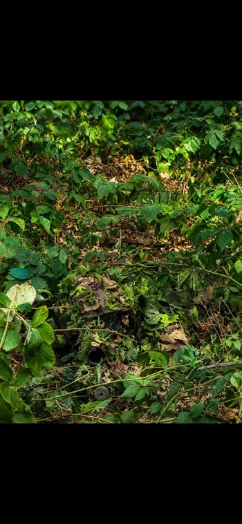 Image 2 for CUSTOM GHILLIE SUITS EN CAMOUFLAGE