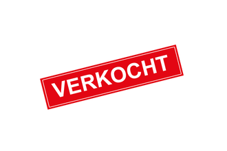 Afbeelding van !VERKOCHT! Pistol case te koop met een gratis Army Armament mini 1911 (R45A1) erbij