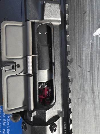 Image 2 pour Wild hog 12