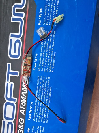 Image 3 pour Wild hog 12