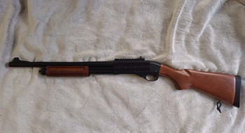 Image 2 for M8870 Shotgun