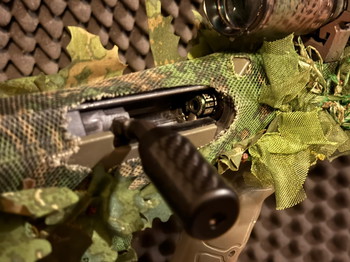 Imagen 3 de SRS a2 16