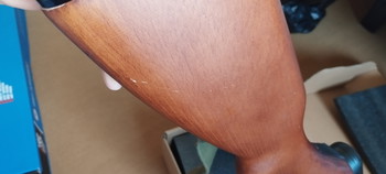 Imagen 4 de Ppsh aeg s&t