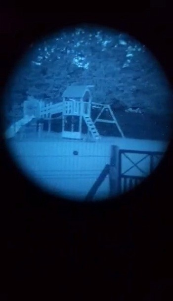Image 2 for Night vision  white fosfer