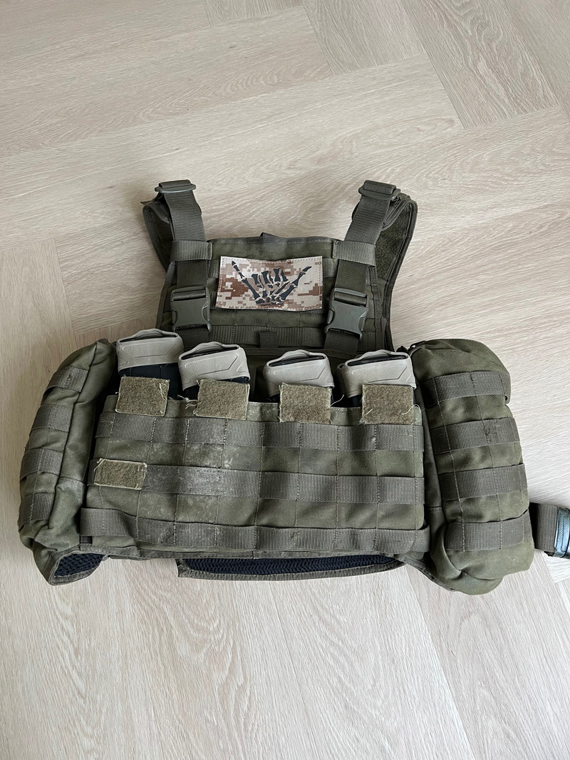 Bild 1 für Tasmanian Tiger plate carrier OD green