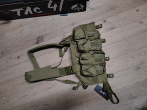 Image pour Gfc chestrig