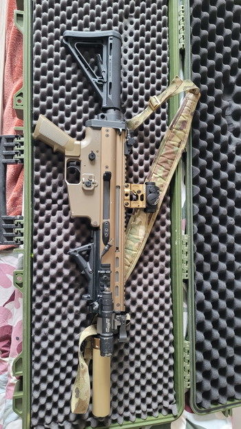 Image 2 for KoA tm scar