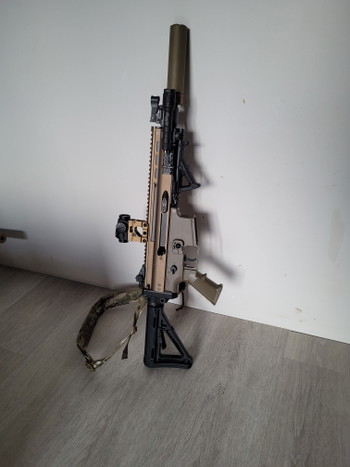 Image 3 for KoA tm scar