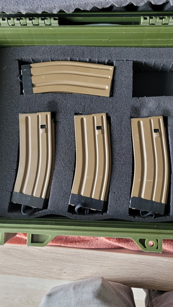 Image 4 for KoA tm scar