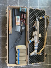 Image pour Tm scar-L