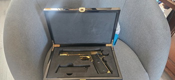Imagen 2 de Src 1911 glimmend