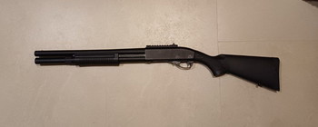 Bild 2 für Golden Eagle Type 870 M8872