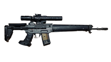 Image for SIG550 Airsoft Sniper custom